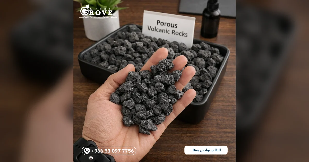 لماذا تحتاج التربة إلى تهوية؟